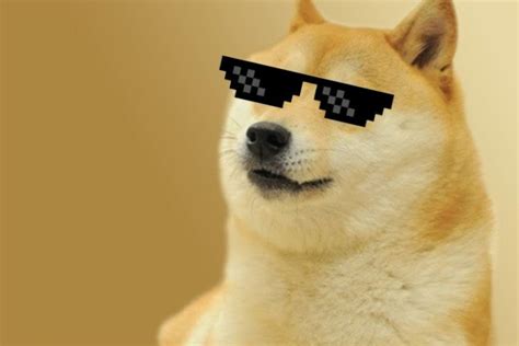 1080 X 1080 Doge Trade Doge Win 100k Worth Doge And It S Meme