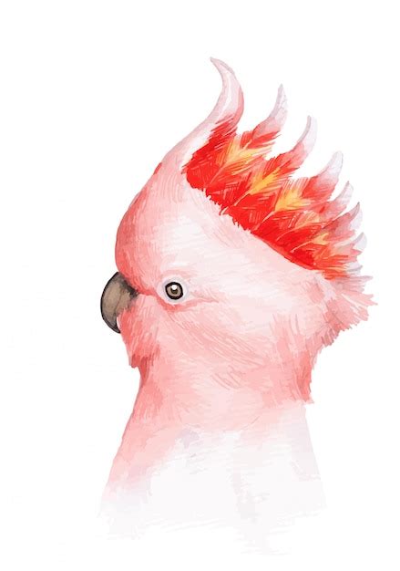 Premium Vector Watercolor Painted Beautiful Pink Bird