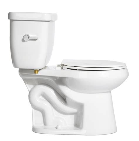 The Original Stealth® 08 Gpf Single Flush 10 Round Toilet