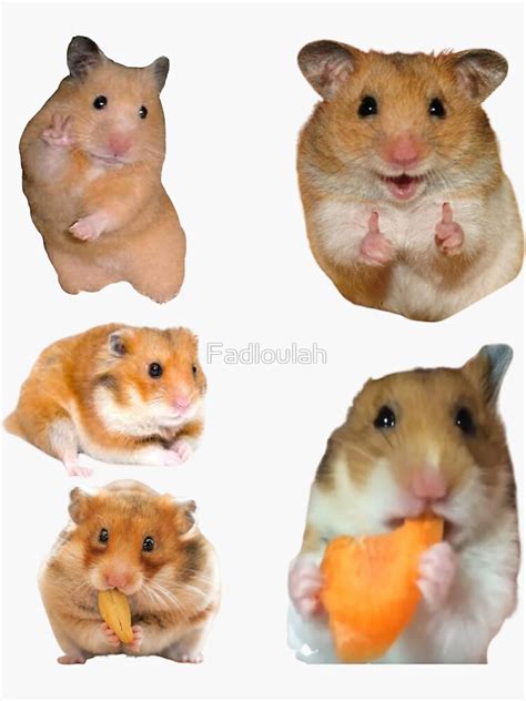 Funny Peace Hamster Meme Sticker For Sale By Fadloulah Redbubble