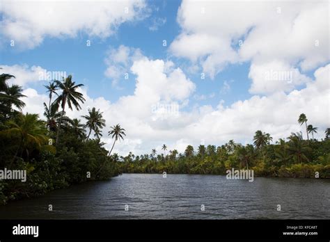 French Polynesia Raiatea Island Faarpa River Stock Photo Alamy