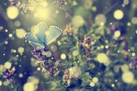 Beautiful Blue Butterfly Relax On Purple Flower In The