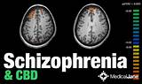 Images of What Kind Of Therapy Is Used To Treat Schizophrenia