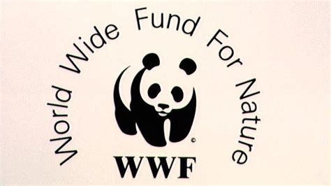 Wwf Accused Of Funding Guards Who Torture And Kill In Poaching War