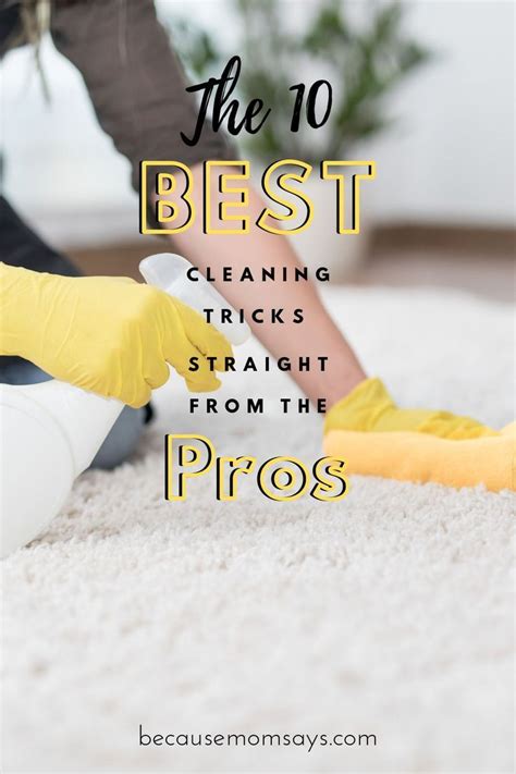 You Don T Have To Hire A Professional House Cleaner To Have An Immaculate Home These Tips