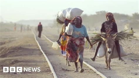 The Ongoing Struggle For Peace In Darfur BBC News