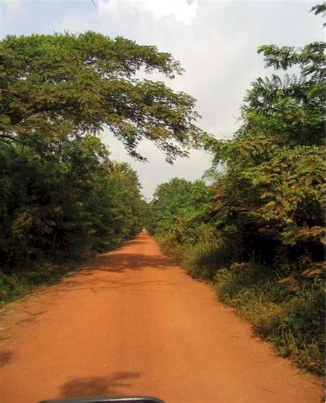Countryside In Ghana