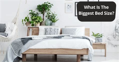 What Is The Biggest Bed Size In The World And In America Home Guiding