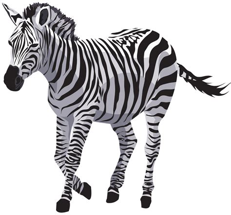 Cartoon Zebra Png Clipart Animal Cartoon Cartoon Clipart Pattern