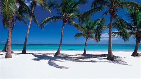 Playas Vírgenes En Punta Cana Destiny Caribbean Tours Excursiones