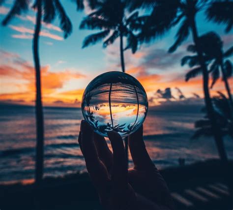 Lensball On Instagram Those Tropical Vibes 🌴 Lensball X 🔮 Steve