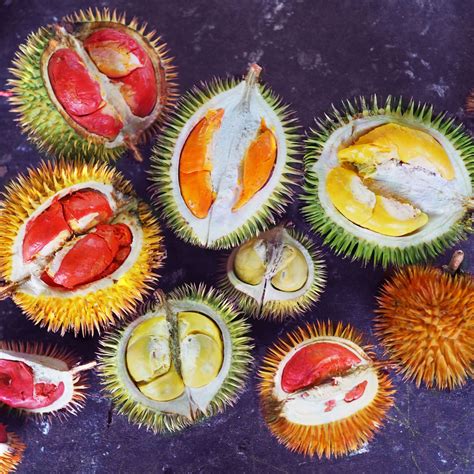 Buy Durian Online: 3-Variety BORNEO Tasting Sampler