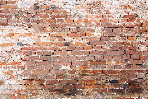 Old Brick Wall Free Stock Photo Public Domain Pictures