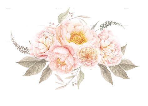Peony Clipart Watercolor Peony Watercolor Transparent