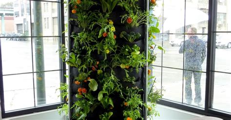 Plants On Walls Vertical Garden Systems Aquaponic