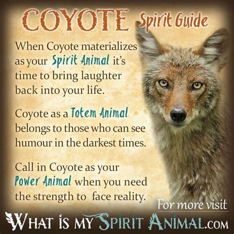 Mammal Symbolism And Meaning Coyote Symbolism Animal