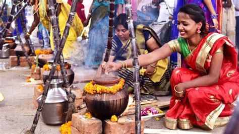 pongal festival of tamil nadu sikkimexpress