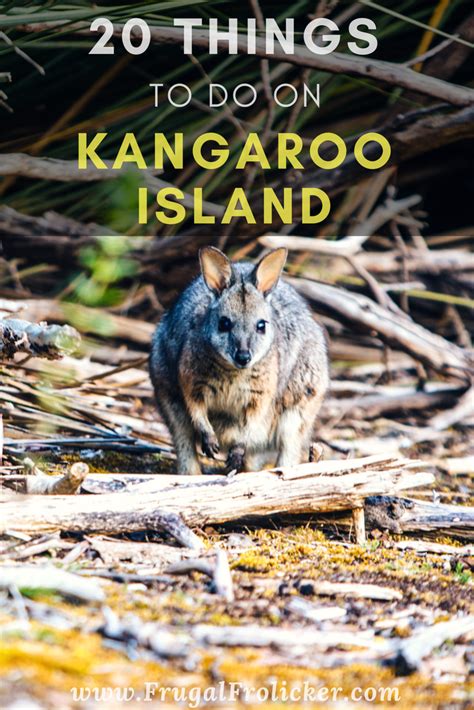 20 Fun Things To Do In Kangaroo Island Australia Frugal Frolicker