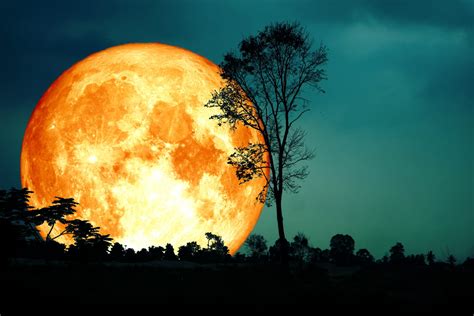 Pleine Lune 2022 Date De La Prochaine Calendrier