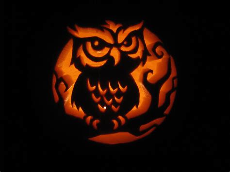 Owl Pumpkin Carving Stencils