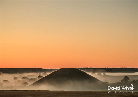 Silbury Hill In The Mist David White Wildlife Photography