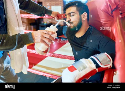Trainer Giving Water To Boxer Stock Photo Alamy