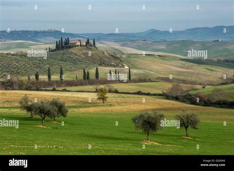 Belvedere Farmhouse In The Valdorcia Tuscany Stock Photo Alamy