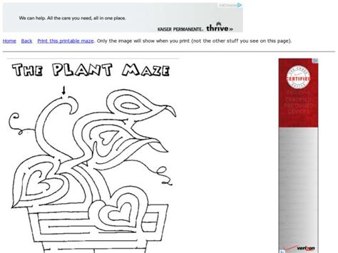 The Plant Maze Worksheet For 2nd 4th Grade Lesson Planet