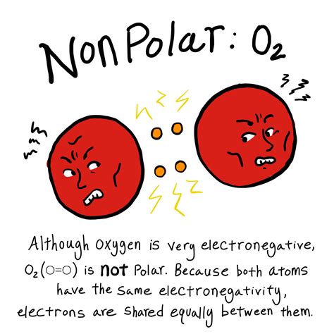 Polar Vs Nonpolar Bonds — Overview And Examples Expii