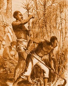 Who frequently contributes articles on the jamaican maroons and the taínos to the. History of Jamaica