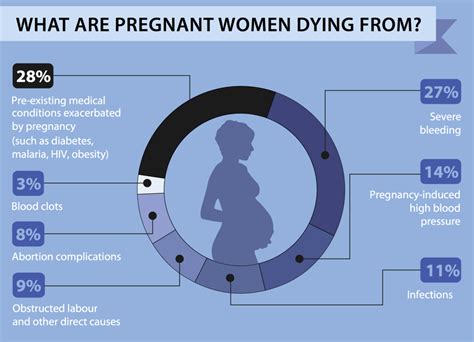 Saving Our Mothers Enhancing Pregnancy Survival In The 21st Century Science In The News