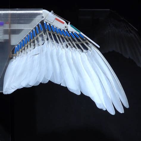 Robot Uses Feathers From Real Pigeons To Fly