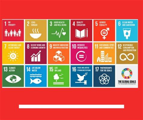 17 Obiettivi Di Sviluppo Sostenibile Dellagenda 2030 Delle Nazioni