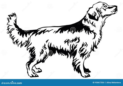 Decorative Standing Portrait Of Dog Golden Retriever Vector Ill Stock