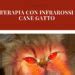 Protocollo Heel insufficienza renale cronica gatto e cane ...