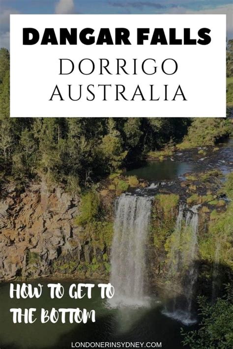 How To Get To The Bottom Of Dangar Falls In Dorrigo Nsw Londoner In