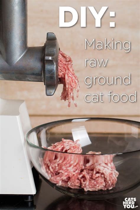 Providing a well balanced diet will help to ensure optimum cat nutrition: DIY: Making Raw, Ground Cat Food at Home | Homemade cat ...
