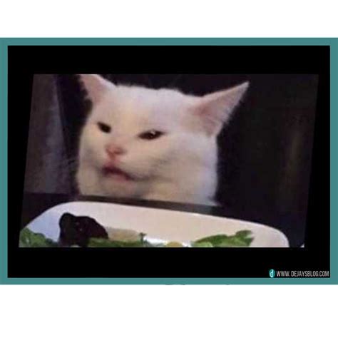 Our Memes Of The Week 45 Smudge The Cat Edition November 2019