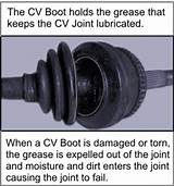 Axle Boots Repair Cost