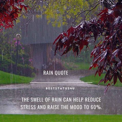 Best Quotes On Rain 100 Rain Status Updated Rainy Weather Quotes