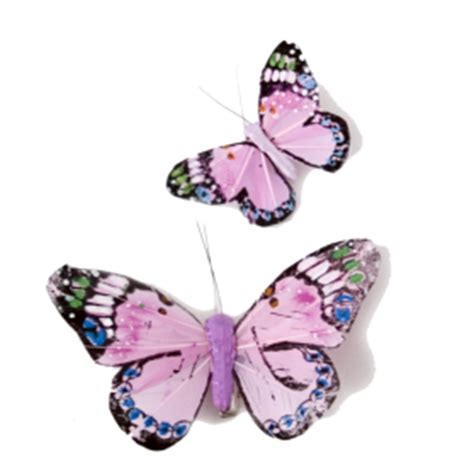 Pcs, handys, zubehör & mehr Butterfly PNG Images Transparent Free Download | PNGMart.com