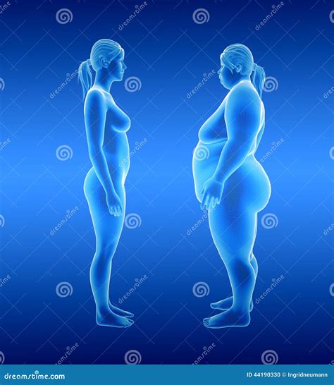 Fat And Thin Woman Stock Illustration Image 44190330