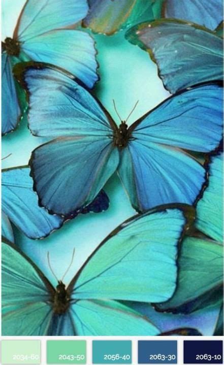 Light Blue Aesthetic Wallpaper Butterfly Aesthetic