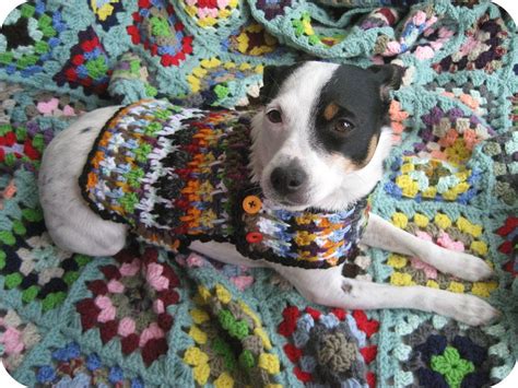 Dog Sweater Crafting 365 Day 150 Dog Sweater Pattern Crochet Dog