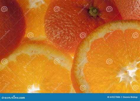 Fresh Sliced Oranges Stock Photo Image Of Food Fruit 63527886