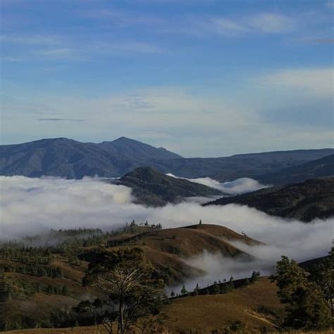 Objek Wisata Di Lembah Napu Poso Sulawesi Tengah Kata Omed