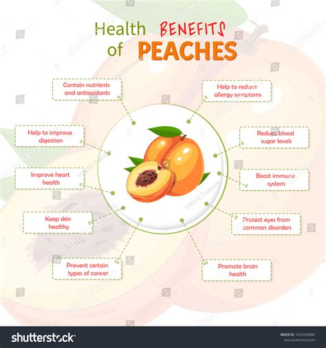 health benefits peach peaches nutrients infographic เวกเตอร์สต็อก ปลอดค่าลิขสิทธิ์ 1623426880