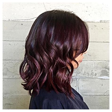 Layla hair sharing ideas for dying your hair. Best 25+ Black cherry hair ideas on Pinterest | Black ...