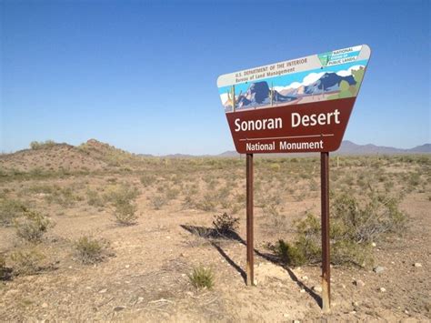 Sonoran Desert National Monument National Monuments Sonoran Desert