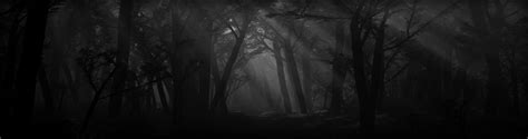 Download Spooky Forest Wallpaper Path Shadows By Johnroberts